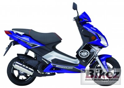 2010 Kreidler RMC-G 50 Venturi photo